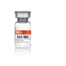 nad-vial-usa-warehouse-product-code-500mg-vial-x-1-vial-availability-315